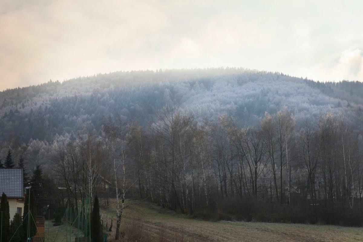 Noclegi Na Bukowym Stoku Czaniec Luaran gambar